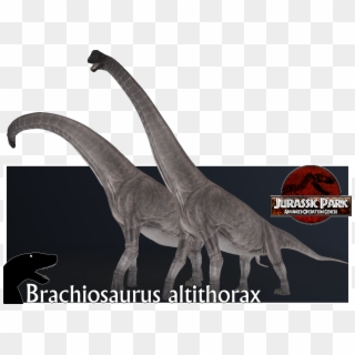 Report Rss Brachiosaurus Altithorax Render - Brachiosaurus Altithorax Jurassic Park, HD Png Download