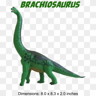 Brachiosaurus Model, HD Png Download