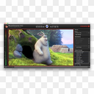 Stream For Multiple Devices At Once - Fat Grey Bunny, HD Png Download