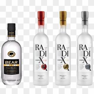 Go To Selection ▷ - Radix Vodka, HD Png Download
