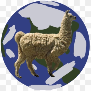 The Only Planet That Llamas Live On Is Earth Did You - Pink Llama, HD Png Download