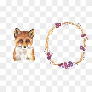 Red Fox , Png Download - Red Fox, Transparent Png