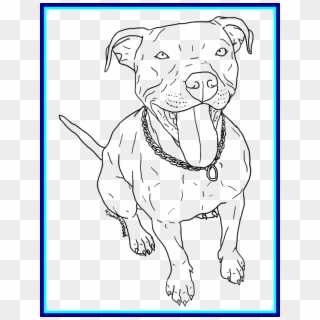 View Pitbull Coloring Page PNG