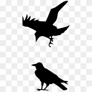 Raven Silhouette Png, Transparent Png