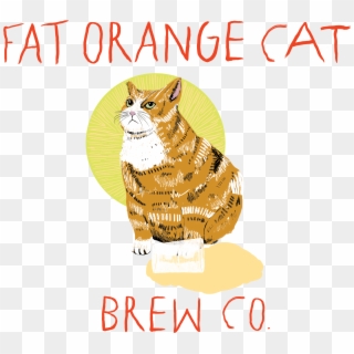 Fat Orange Cat Brew Co - Fat Orange Cat Beer, HD Png Download