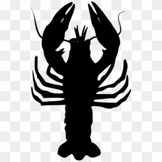 Cancer Zodiac Lake Horoscope Symbol - Crab, HD Png Download