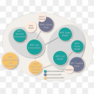Multisim Flow Chart 2 Modelling Scale 2 01 - Circle, HD Png Download