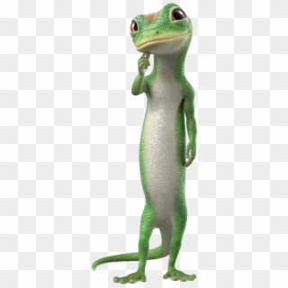 Your Helpful And Convenient Renter S Resource - Geico Gecko Images Transparent, HD Png Download