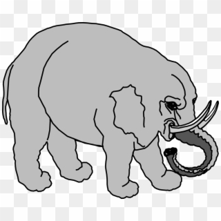 Elephants Line Art Download Black And White Circus - صور فيل تلوين, HD Png Download