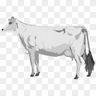 Cow In Svg - Vector .svg, HD Png Download