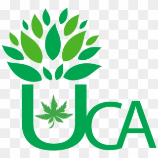 Director, Umpqua Cannabis Association 541 530 - Greens Steel Logo, HD Png Download
