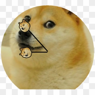 Doge Transparent Png - Doge Memes Wholesome, Png Download