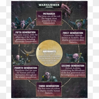 The Philosopher's Meme - Warhammer 40k, HD Png Download