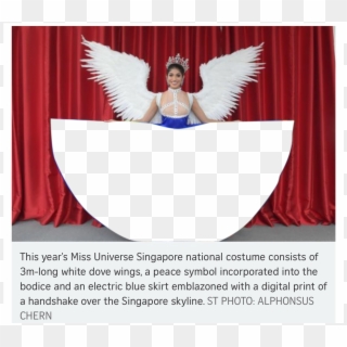 Png, Time To Meme - Miss Universe Singapore National Costume 2018, Transparent Png
