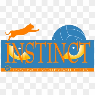 Instinct Volleyball, HD Png Download