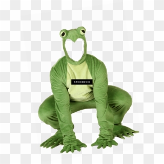 Kermit The Frog Costume Headless - Tea Kermit, HD Png Download