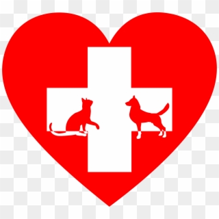 This Free Icons Png Design Of Veterinary First Aid - Animal Clinic Clip Art, Transparent Png