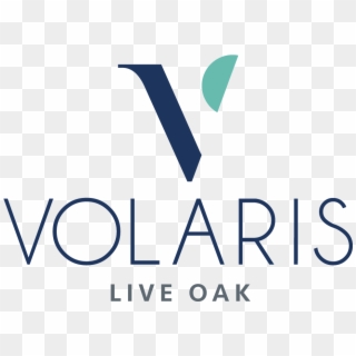 Volaris Live Oak, HD Png Download