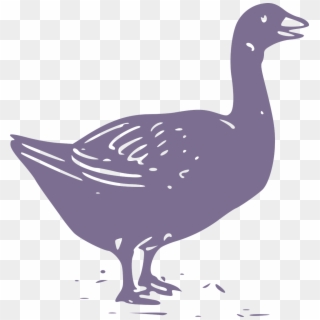 Animal Animals Farm Fowl Geese Png Image - Goose, Transparent Png