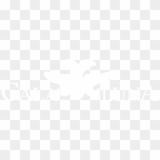 18th 2016 Tamarindo Art Wave - Johns Hopkins Logo White, HD Png Download