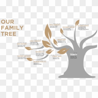 Rp Family Tree19 - Graphic Design, HD Png Download