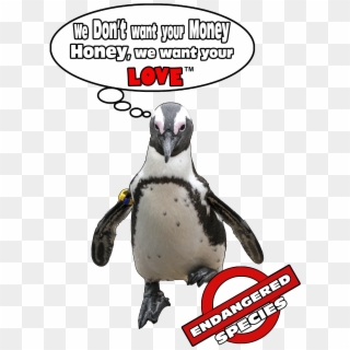 Penguinpromises, HD Png Download