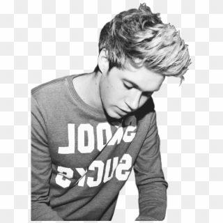 24 Images About Niall Horan On We Heart It - Niall Horan One Direction, HD Png Download