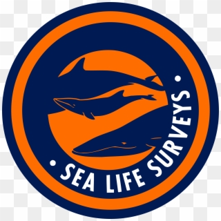 Sea Life Surveys Logo Png Transparent - Steven Universe Sapphire Gemstone, Png Download