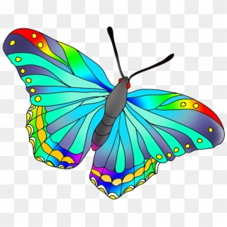 As The Butterflies The Colors Are Not Totally Realistic - Beautiful Butterfly No Background, HD Png Download