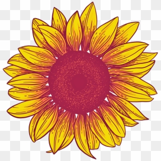 Sunflower Png Background - Sunflower, Transparent Png