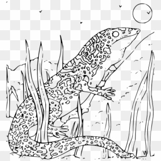 Coloring Book Monitor Gecko Svg Clip Arts 564 X 600 - Gecko Coloring Pages, HD Png Download