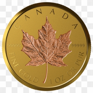 Ican851920 1 - Canadian Gold Maple Leaf, HD Png Download