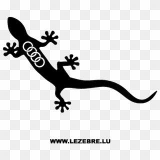 Gecko Logo Quattro, HD Png Download