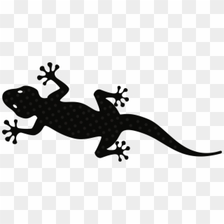 Gecko - Black And White Gecko Lizard Clipart, HD Png Download