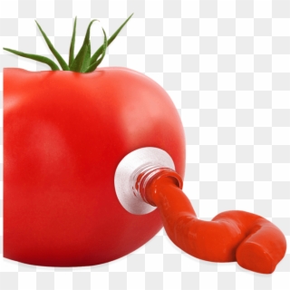 Concentrado De Tomate - Plum Tomato, HD Png Download
