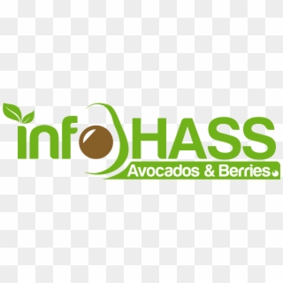 Infohass - Net - Graphic Design, HD Png Download