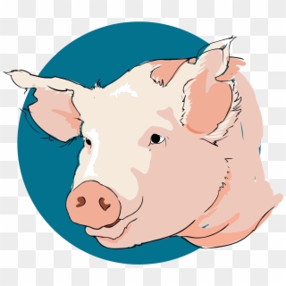 Clipart Black And White Library File Pig Closeup Svg - Clipart Pig Head Png, Transparent Png
