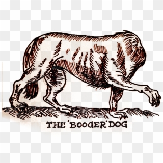Booger Dog, HD Png Download