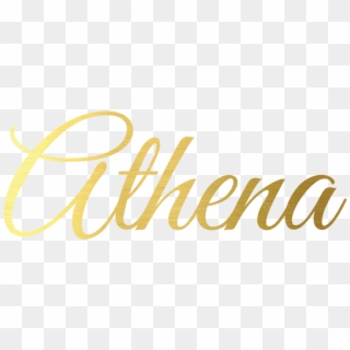 Transparent Png