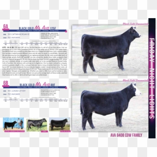 $8,250martin Cattle Services , Png Download - Dairy Cow, Transparent Png