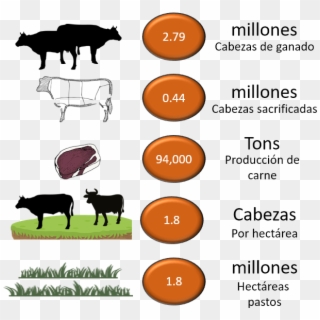 Cattle Indicators - Dairy Cow, HD Png Download