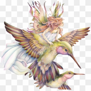 Faerie Drawing Hummingbird - Spirit Of The Animals Oracle Jody Bergsma, HD Png Download