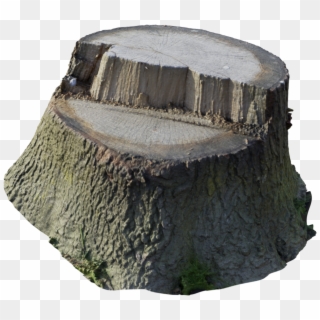 Scanned Tree Stump - Tree Stump, HD Png Download
