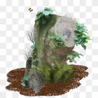 Tree Stump Png - Tree, Transparent Png