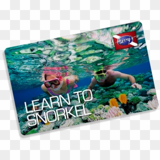 Learn To Snorkel - Snorkeling, HD Png Download