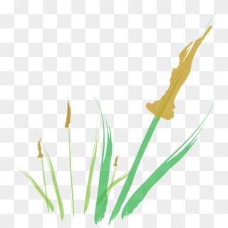 Cattail Abstract Digital Illustration - Illustration, HD Png Download