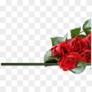 Red Rose Clipart Divider - Rose Valentines Day Png, Transparent Png