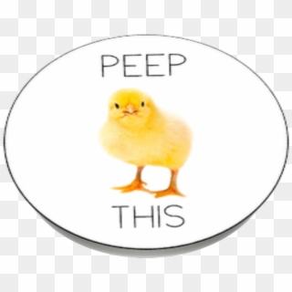 Peep This, Popsockets - Sheep, HD Png Download