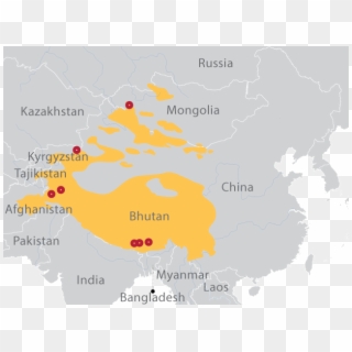 Snow Leopard Range - Sub Regions Of Asia, HD Png Download