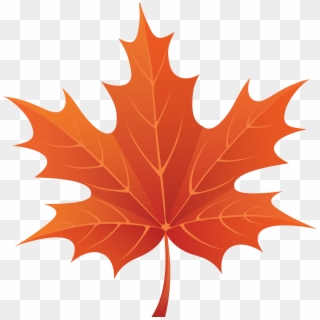 Brown Maple Leaf - Autumn Leaf Clipart Png, Transparent Png